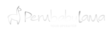 Peru Baby Lama Logo